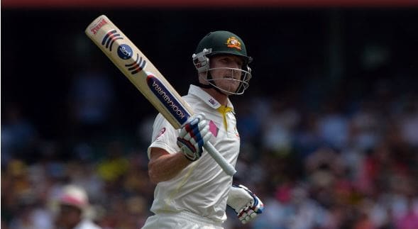 Brad Haddin raises his bat