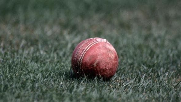 Cricket ball