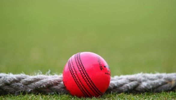 pink cricket ball