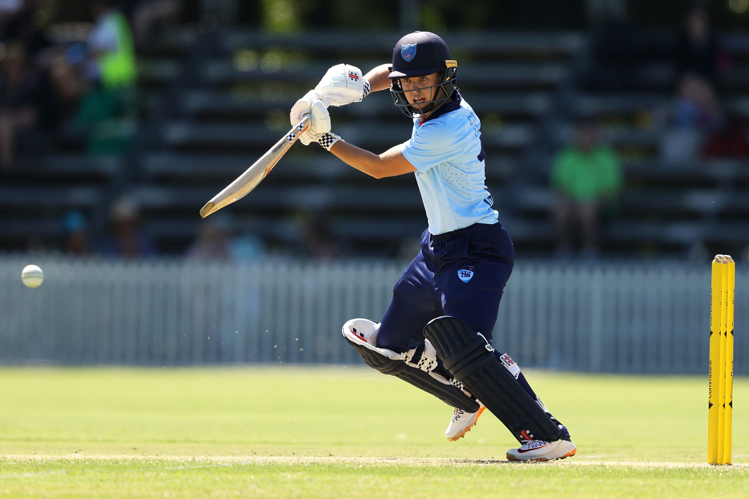 WNCL – NSW v ACT